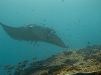 Maldives-97