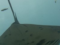Maldives-98