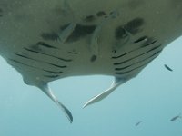 Maldives-99
