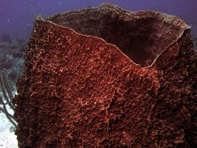 P3280023