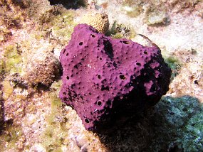P3280033