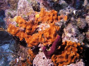 P3280035
