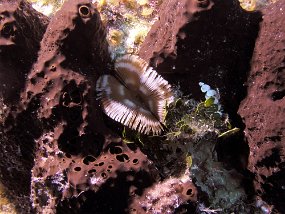 P3280047