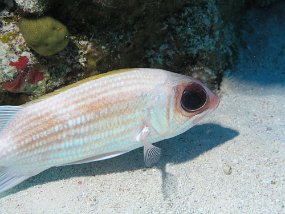 P3280077