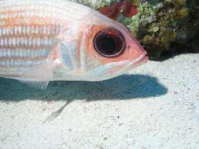 P3280079