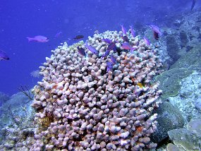 P3290005