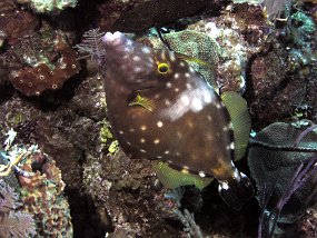 P3290024