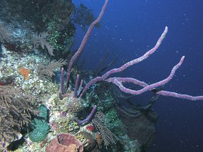 P3290120