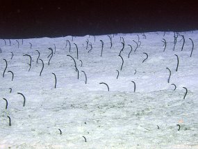 P3290129