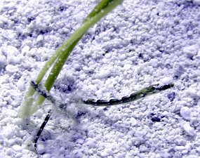 P3290142