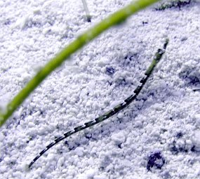 P3290143