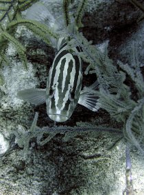P3300087