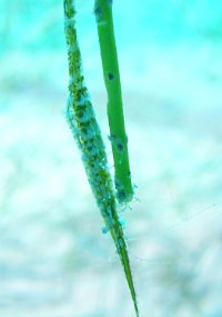 P3300104