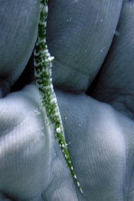 P3300109