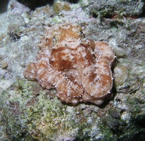 P3300126