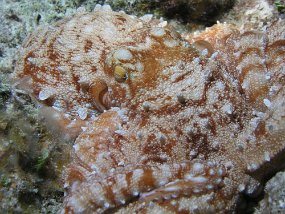 P3300134