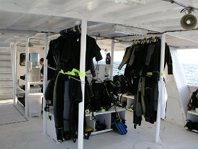 P3310145