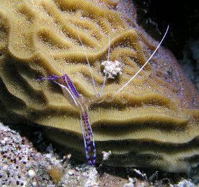 P3310166