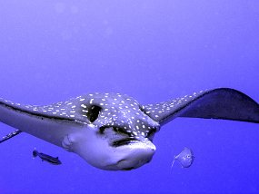 P3310172