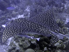 P3310174