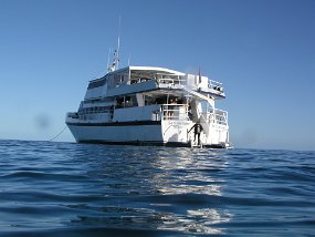 P3310185