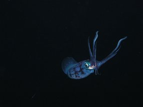 P3310193