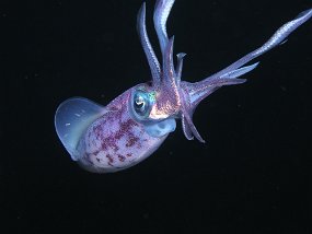 P3310194