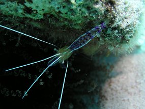 P4010225