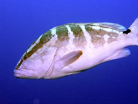 P4010231