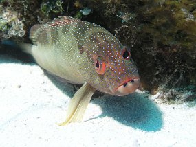P4010234