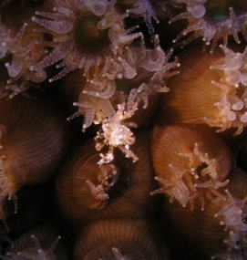 P4010252