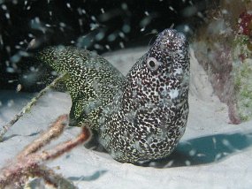 P4020261