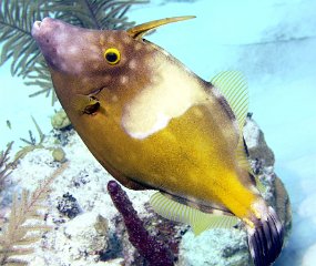 P4020278