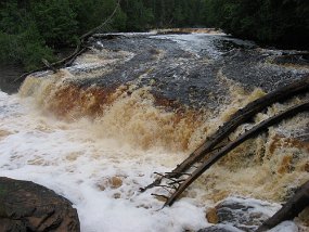 IMG_0879