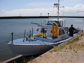 IMG_0902