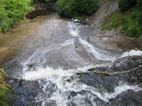 IMG_0921