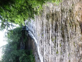 IMG_0925