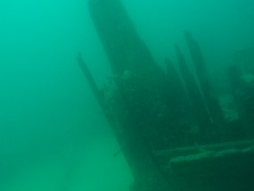 P7290086