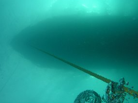 P7310123