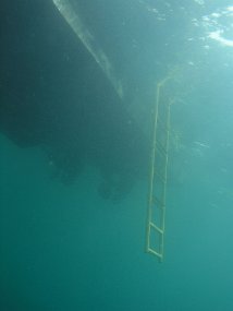 P7310128