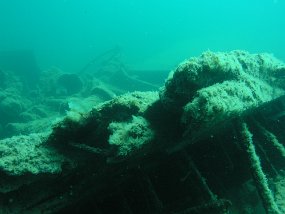 P8020147
