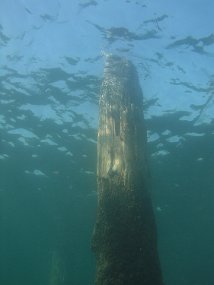 P8020164