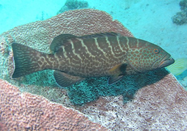 Curacao 2005