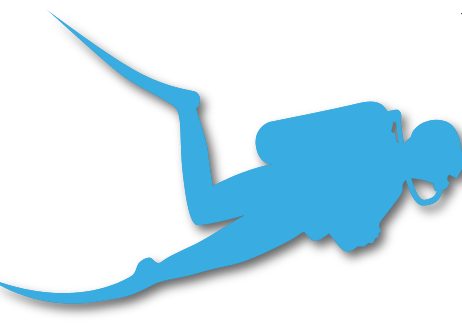 Dive Logs